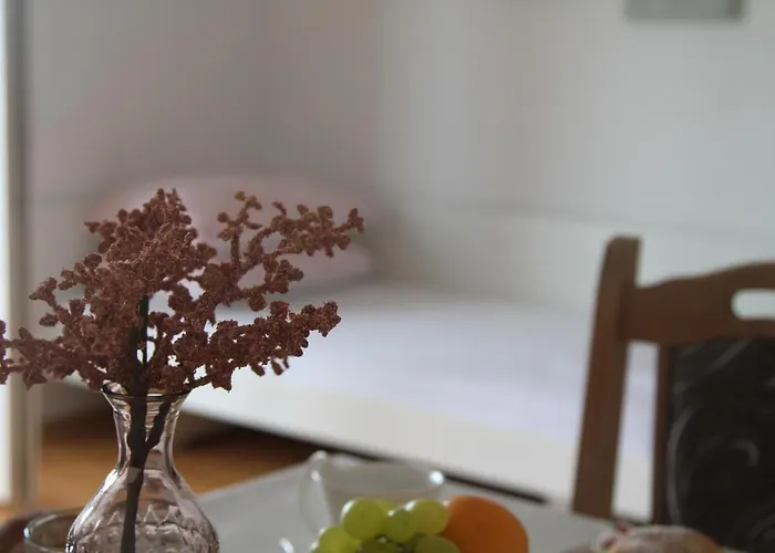 Karalic Апартаменты Цриквеница